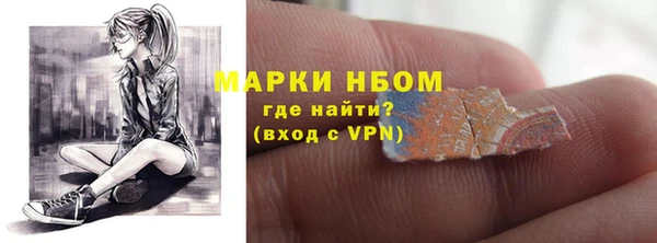прущие грибы Алзамай
