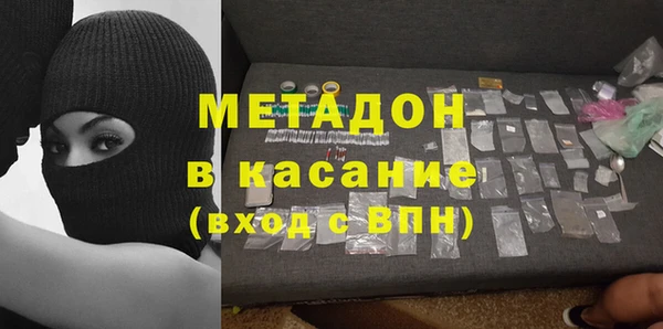 прущие грибы Алзамай