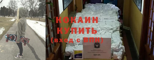 индика Абинск