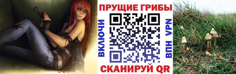 цена   Магнитогорск  Галлюциногенные грибы ЛСД 