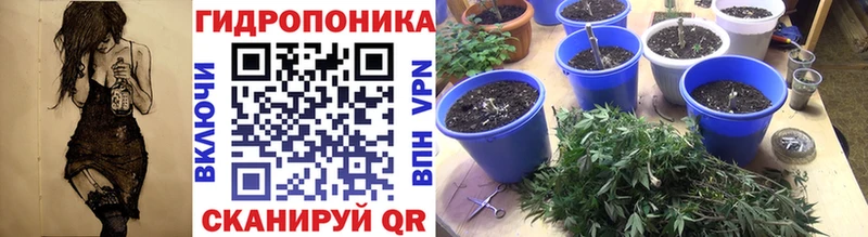 Каннабис VHQ кракен зеркало Магнитогорск